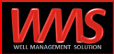 Well Management Solutions Sdn Bhd. (2019)