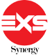 EXS Synergy Sdn Bhd. (2019)